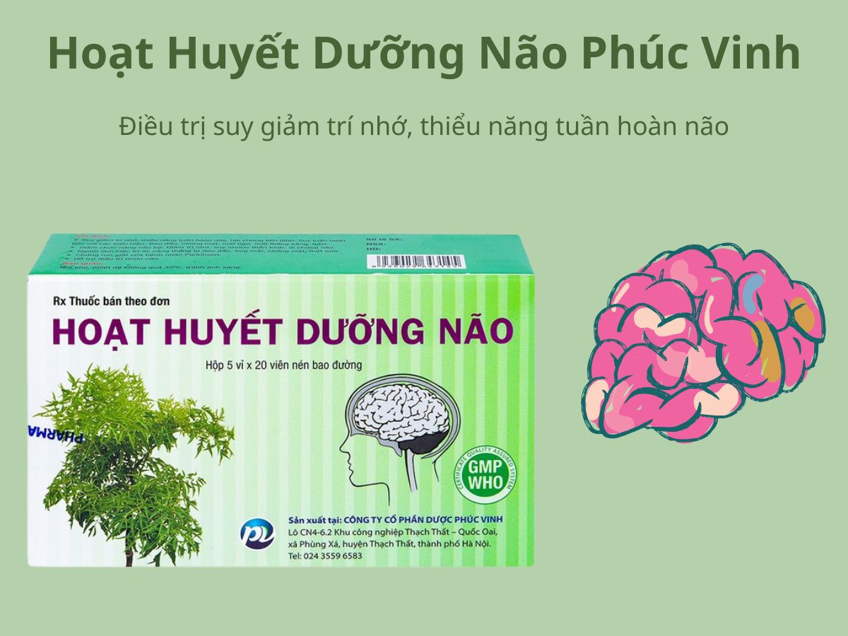 Hoạt Huyết Dưỡng Não Phúc Vinh