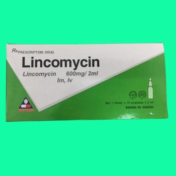 Lincomycin 600mg/2ml Vinphaco 3 Thuốc Lincomycin 600mg/2ml Vinphaco giúp điều trị nhiễm khuẩn nhạy cảm với thuốc