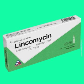 Lincomycin 600mg/2ml Vinphaco 2 Thuốc Lincomycin 600mg/2ml Vinphaco giúp điều trị nhiễm khuẩn nhạy cảm với thuốc