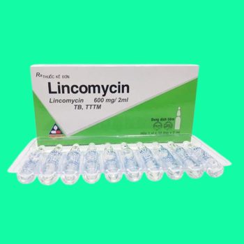 Thuốc Lincomycin 600mg/2ml Vinphaco giúp điều trị nhiễm khuẩn nhạy cảm với thuốc