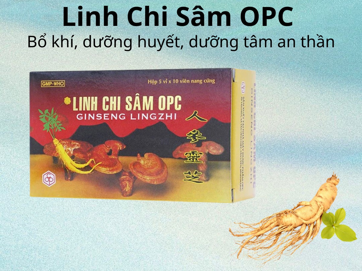 Linh Chi Sâm OPC bổ khí, dưỡng huyết, dưỡng tâm an thần