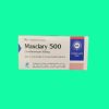 Maxclary 500 5 Maxclary 500