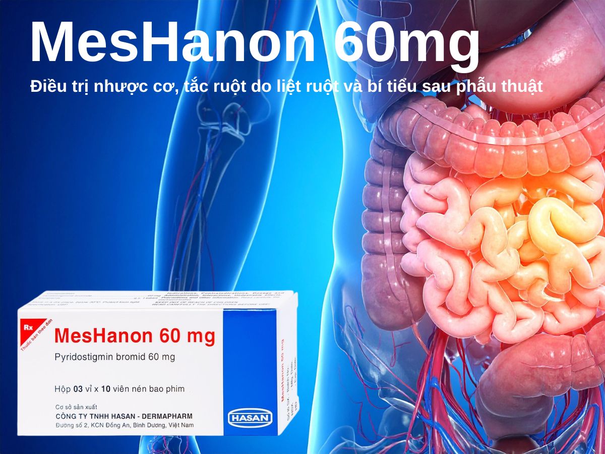 MesHanon 60mg