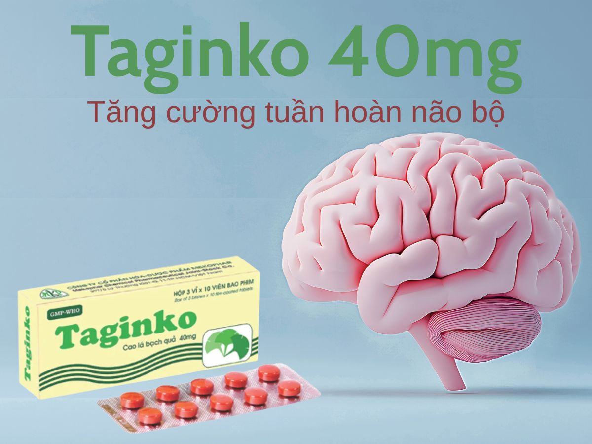 Taginko 40mg 12 Taginko 40mg