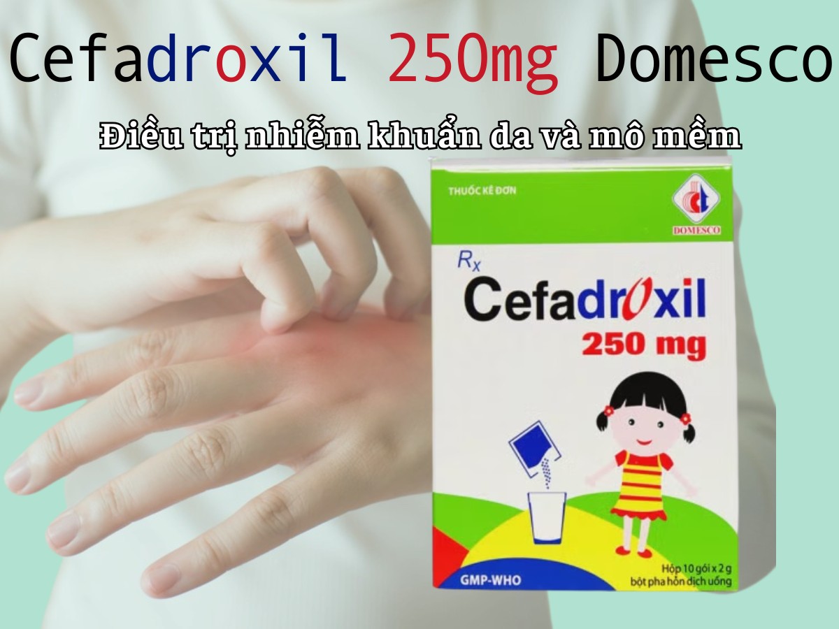 Cefadroxil 250mg Domesco điều trị nhiễm khuẩn da và mô mềm