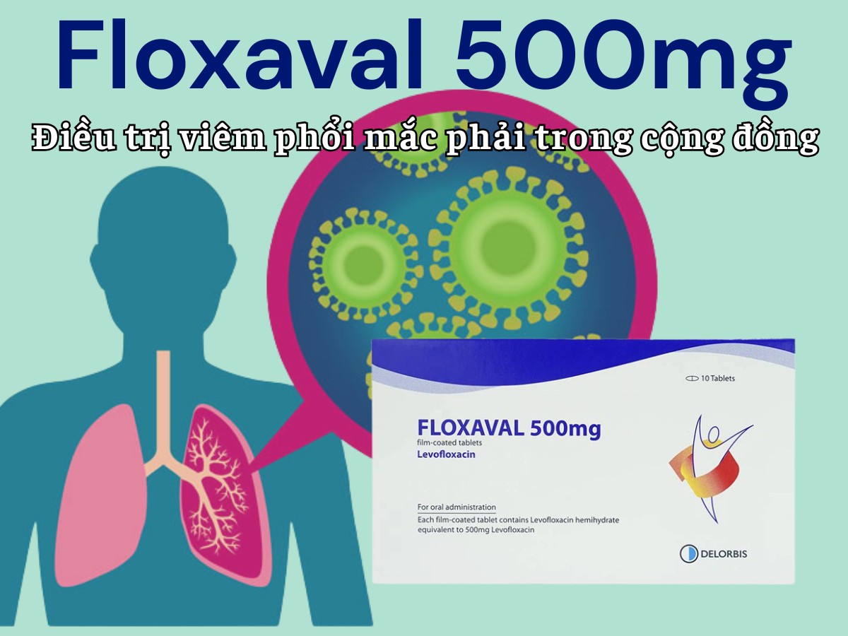 Floxaval 500mg 9 Floxaval 500mg điều trị viêm phổi mắc phải trong cộng đồng