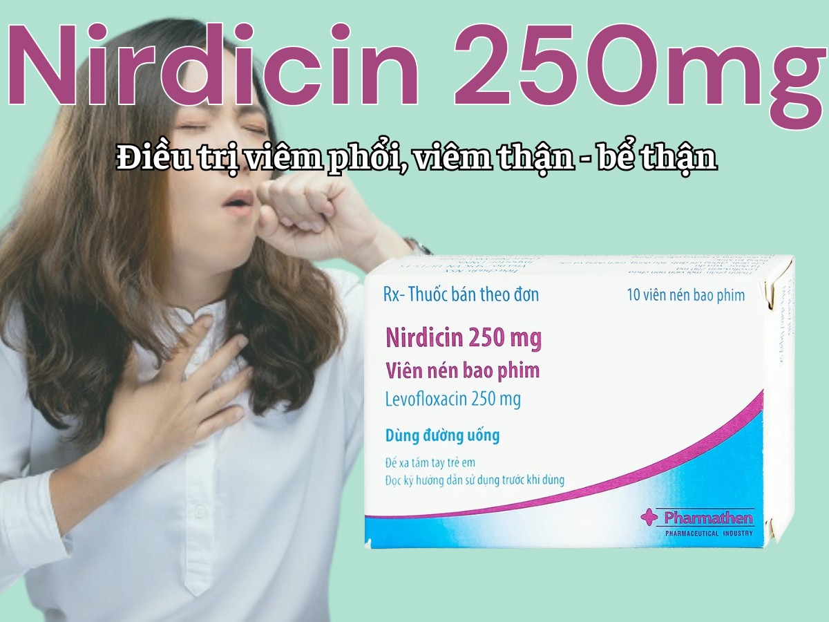 Nirdicin 250mg 10 Nirdicin 250mg điều trị viêm phổi, viêm thận - bể thận, viêm tuyến tiền liệt