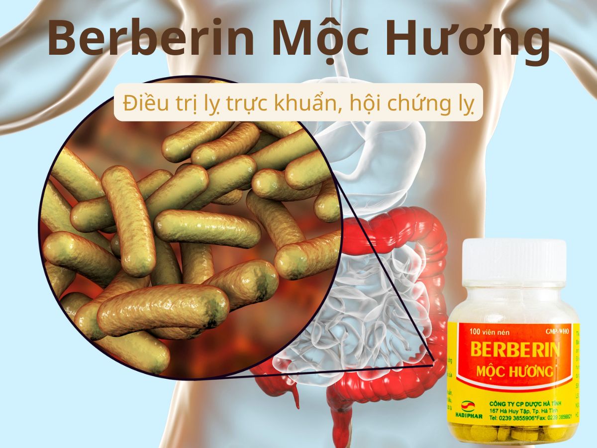Berberin Mộc Hương