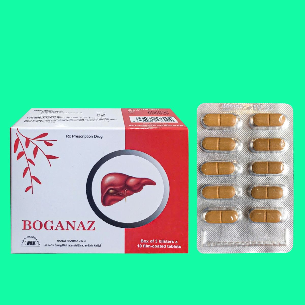 Boganaz Boganaz