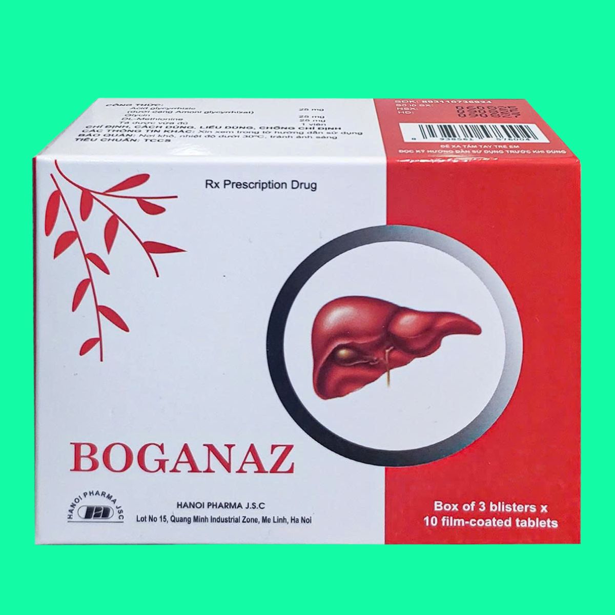 Boganaz (2) Boganaz