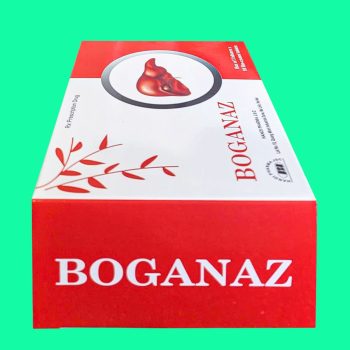 Boganaz 7 Boganaz