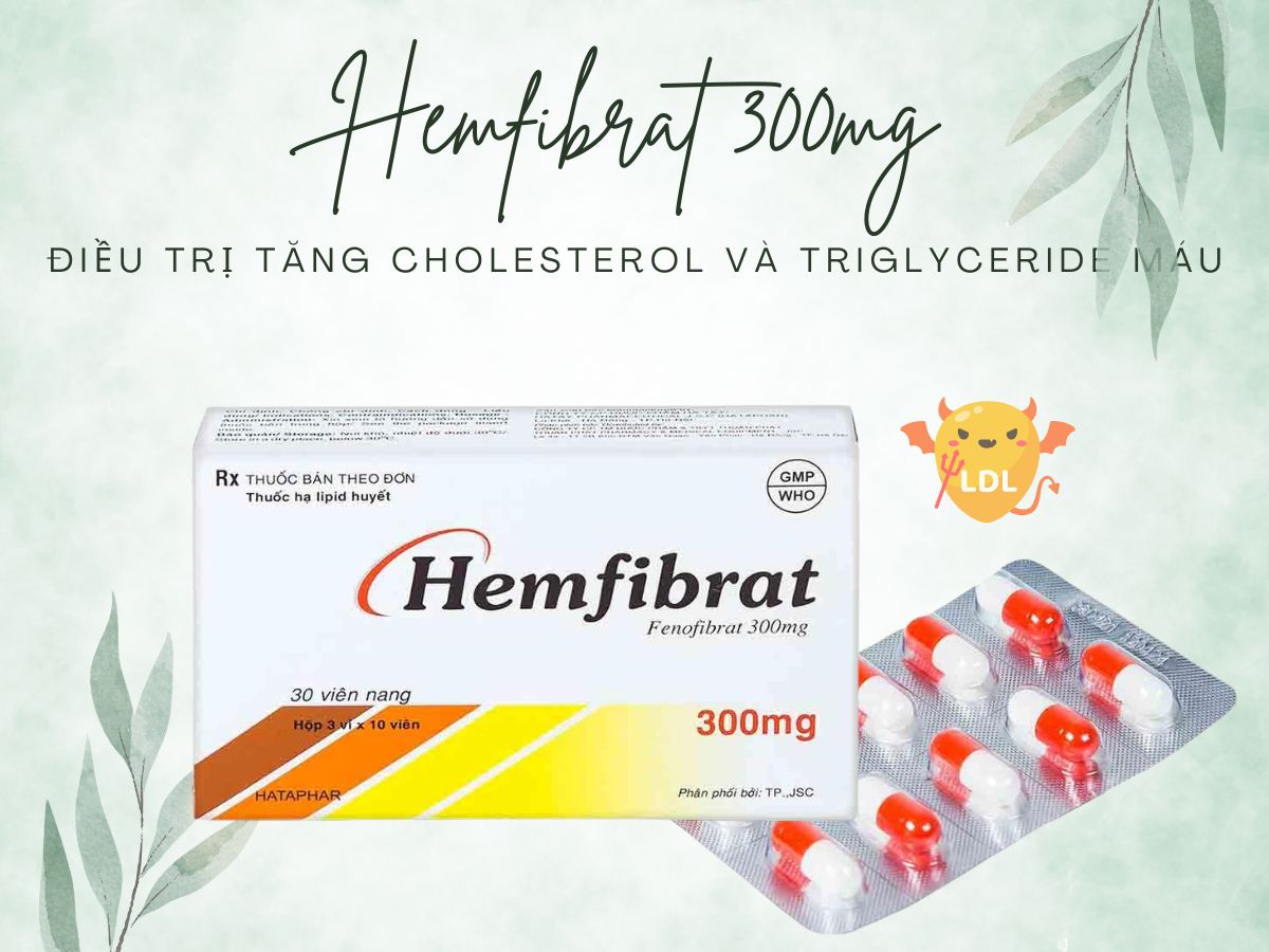 Thuốc Hemfibrat 300mg điều trị tăng cholesterol và triglyceride máu