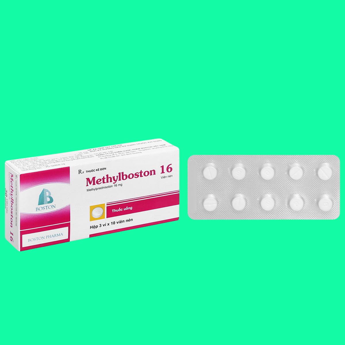 Methylboston 16 Methylboston 16