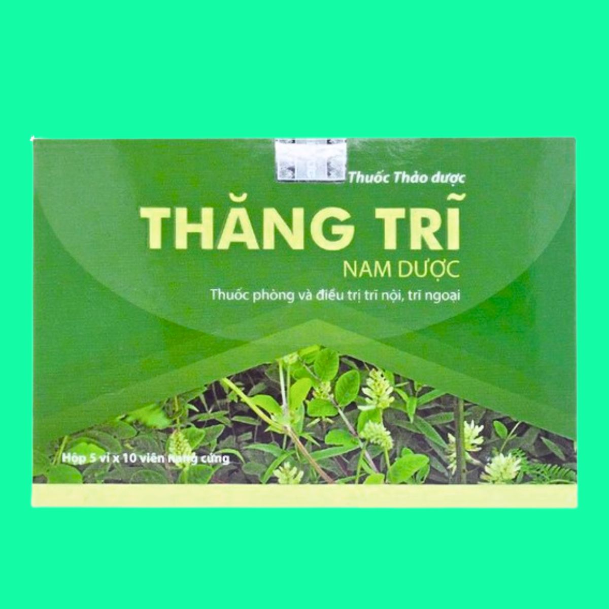 Thăng Trĩ Nam Dược (3) Thăng Trĩ Nam Dược