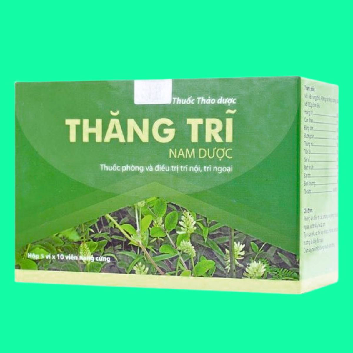 Thăng Trĩ Nam Dược (4) Thăng Trĩ Nam Dược