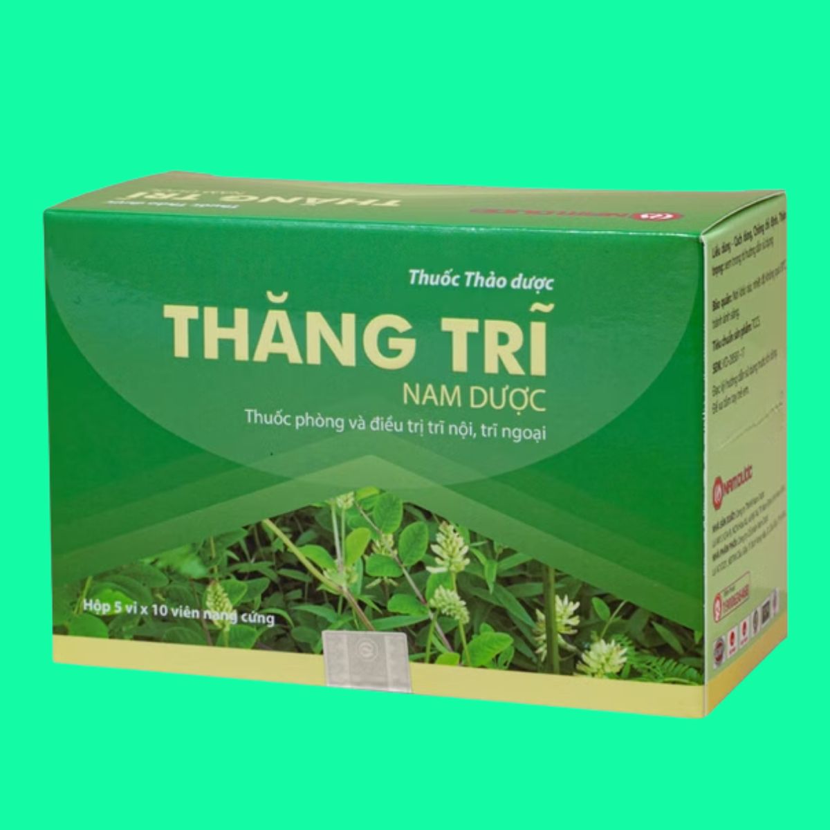 Thăng Trĩ Nam Dược (5) Thăng Trĩ Nam Dược