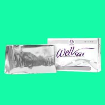 Well GSV