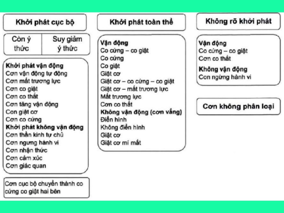 Cơn động kinh và động kinh