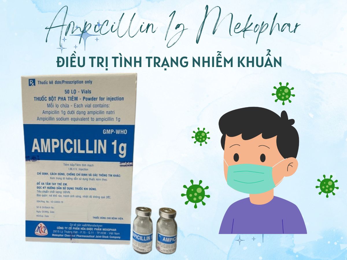 Thuốc Ampicillin 1g Mekophar điều trị viêm phế quản mạn tính