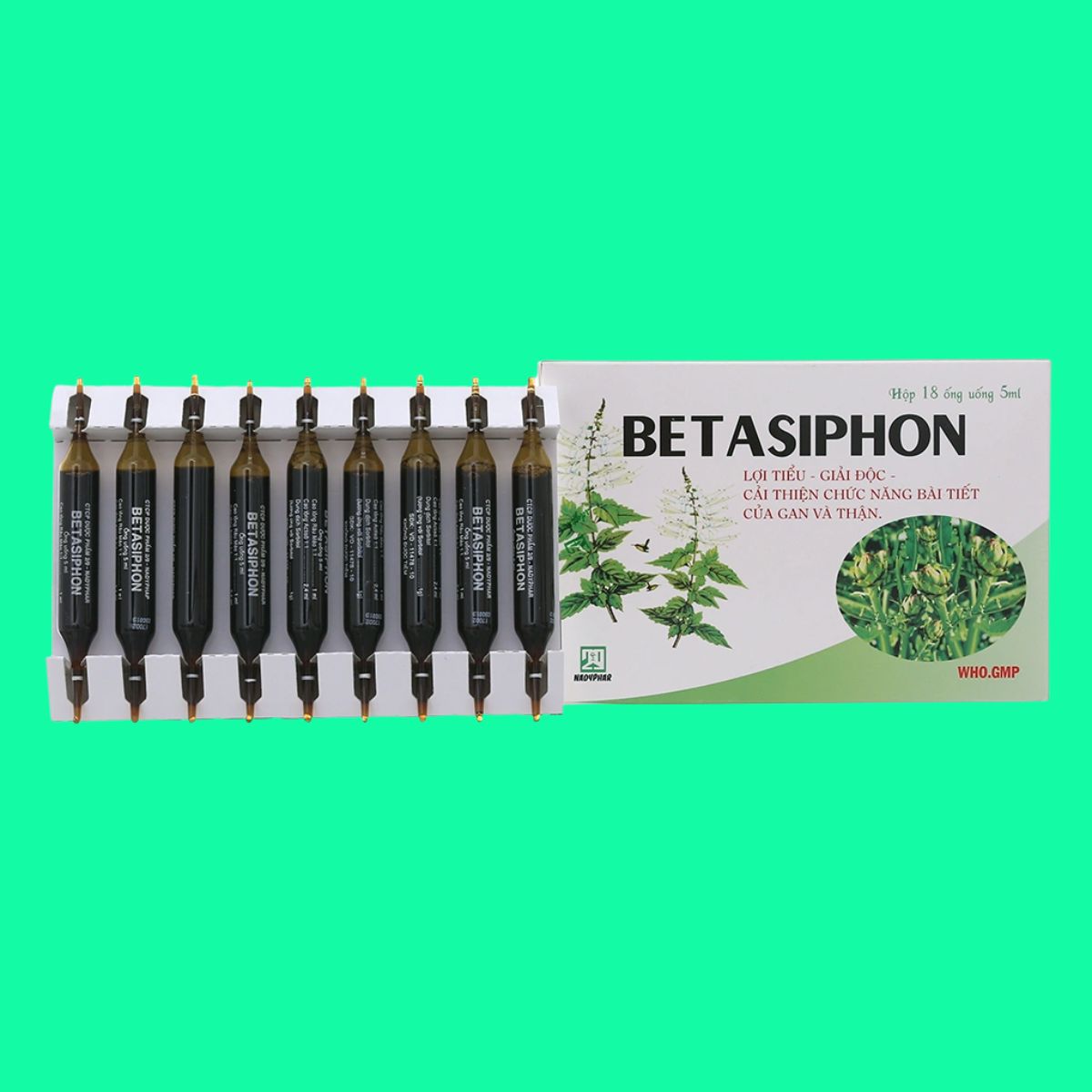 Betasiphon (1) Betasiphon