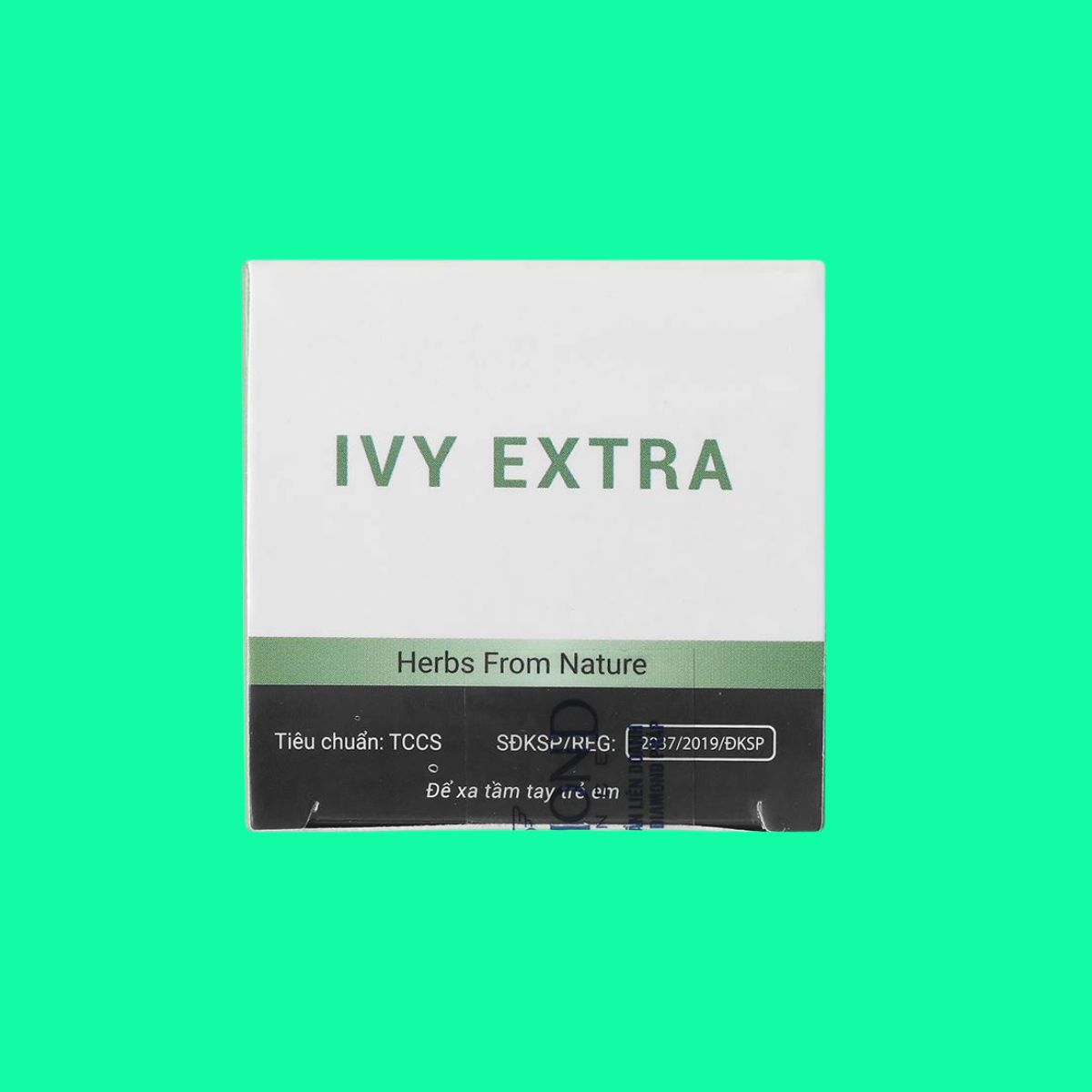 Ivy Extra (8) Ivy Extra