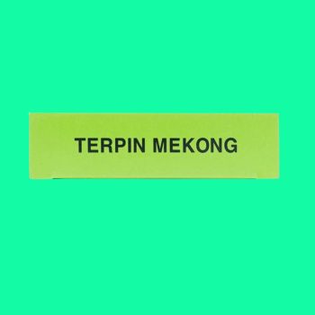 Terpin Mekong 6 Terpin Mekong