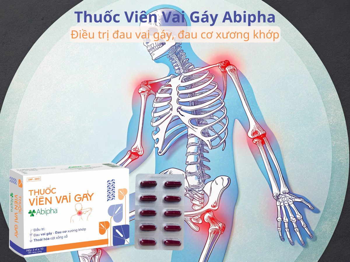 Thuốc Viên Vai Gáy Abipha