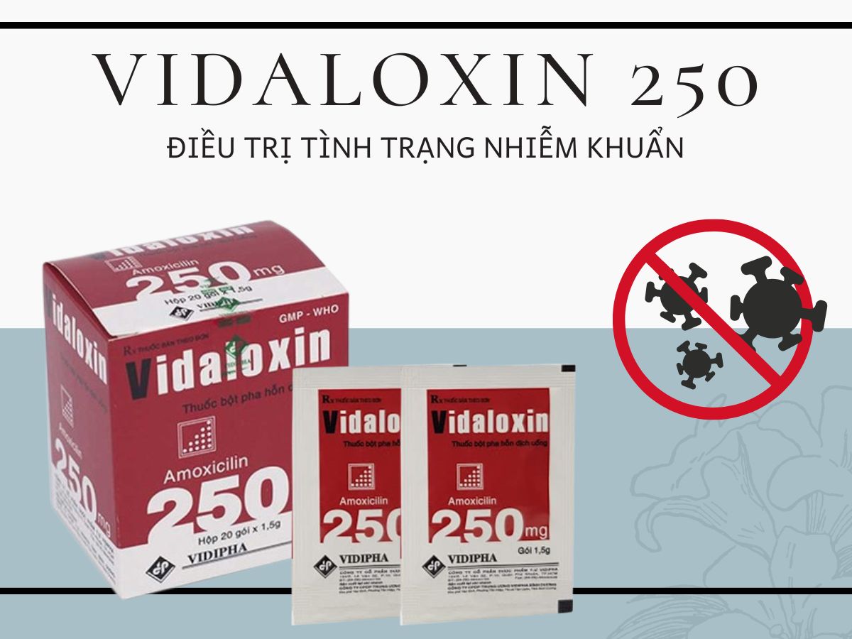 Thuốc bột Vidaloxin 250 điều trị nhiễm khuẩn hô hấp trên và dưới
