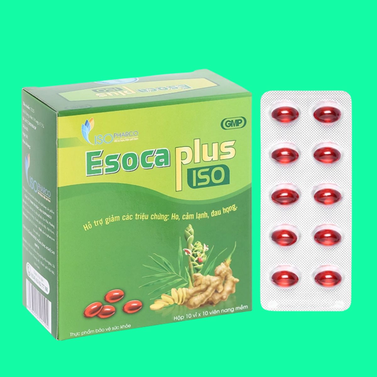 Esoca Plus Iso Esoca Plus Iso
