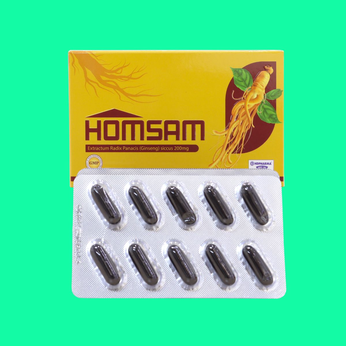 Homsam (1) Homsam