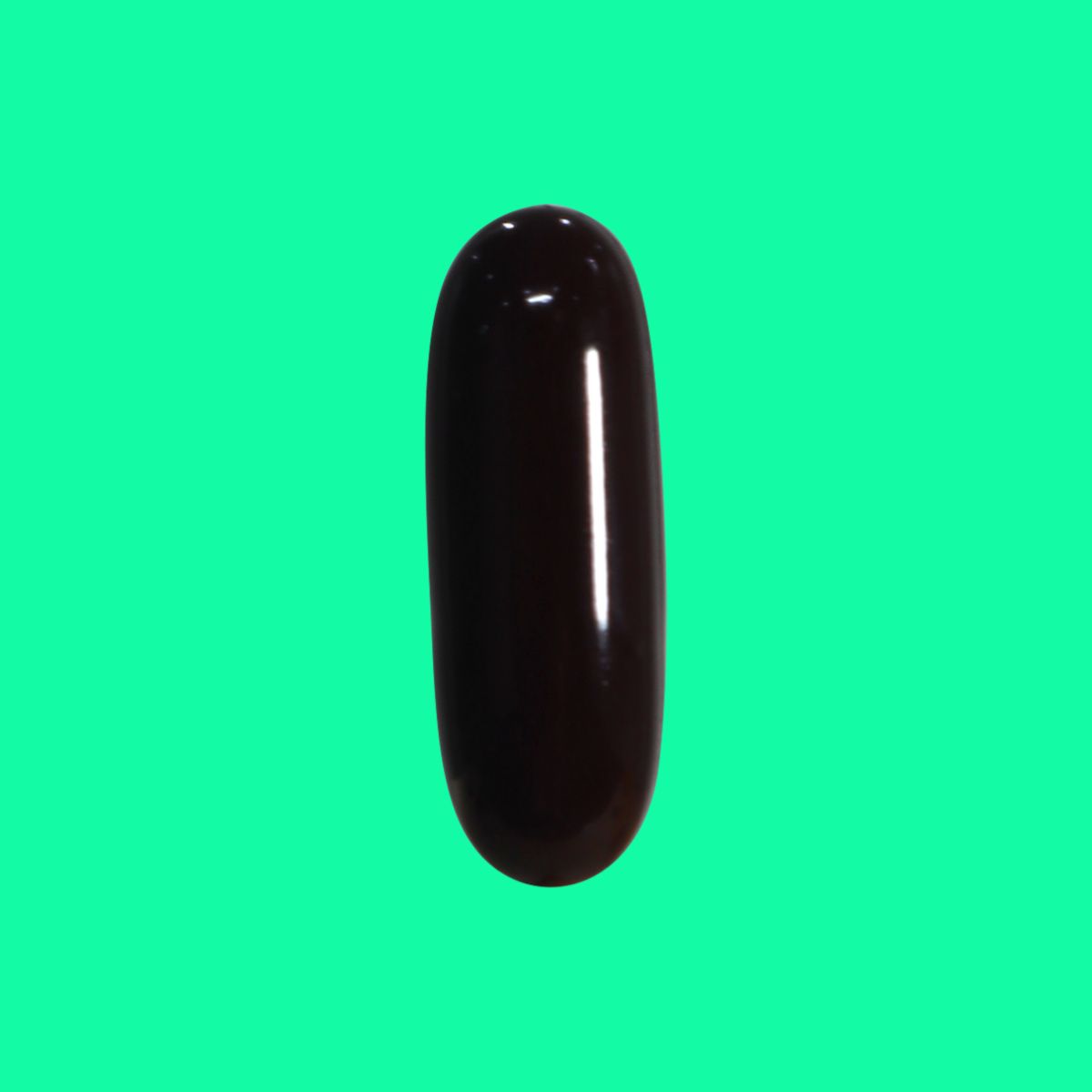 Homsam (11) Homsam