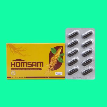 Homsam 2 Homsam