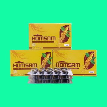Homsam
