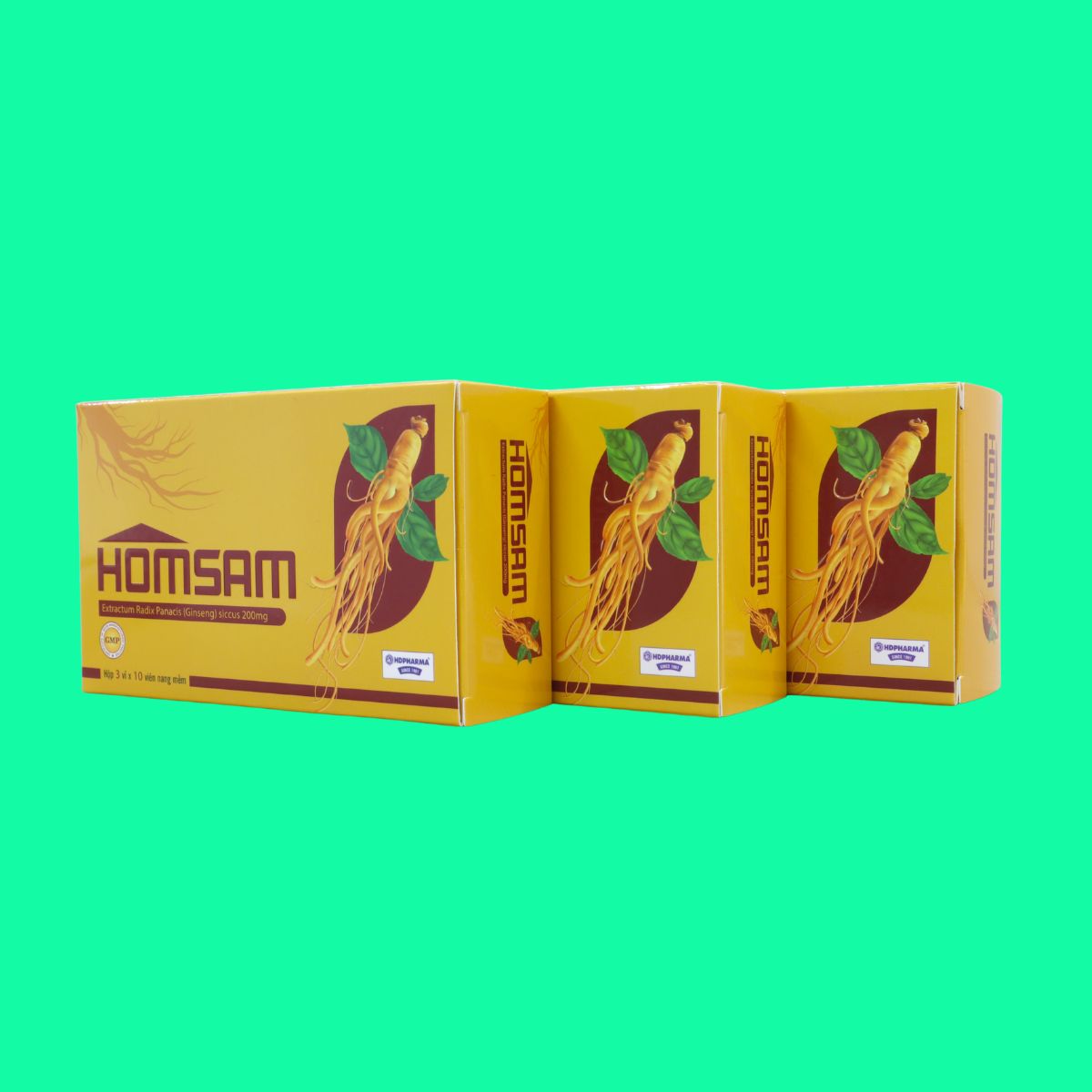 Homsam (4) Homsam