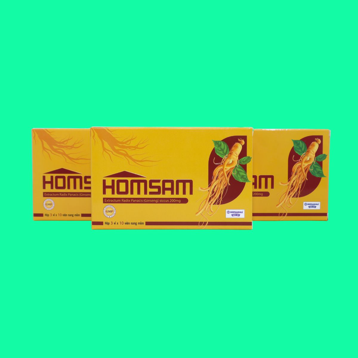 Homsam (5) Homsam