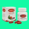Vinaga - DHA Gacoil Capsule 8 Vinaga - DHA Gacoil Capsule