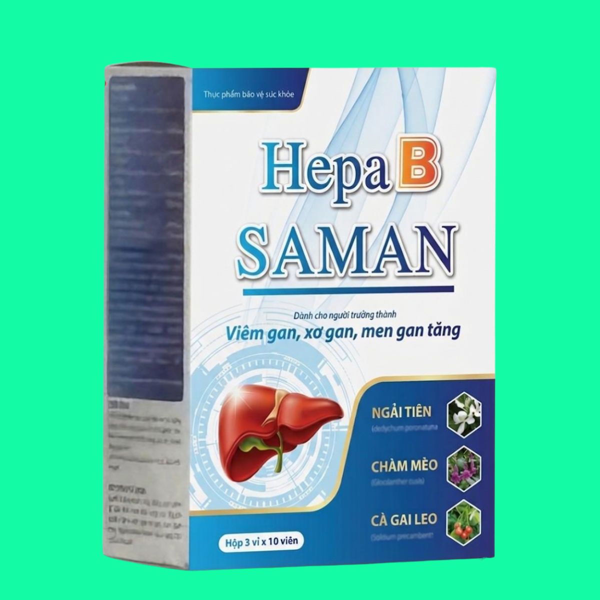 Hepa-B-saman-2 Hepa B saman