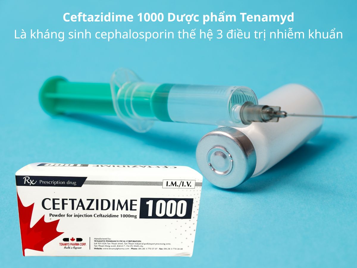 Ceftazidime 1000 Dược phẩm Tenamyd
