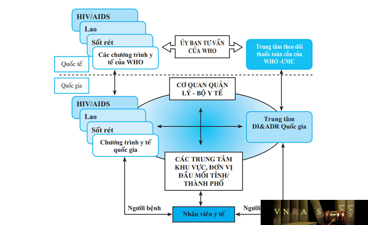 Hình 4. Mối quan hệ giữa Cảnh giác dược và các chương trình y tế quốc gia
