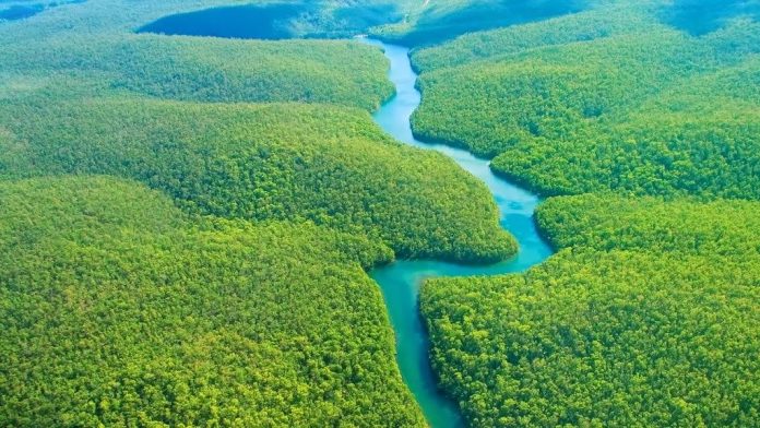 Chính sách của nhà nước về Dược