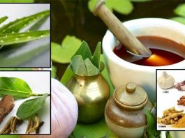 luật đấu thầu về lựa chọn nhà thầu