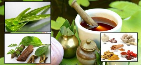luat_dau_thau_ve_lua_chon_nha_thau luật đấu thầu về lựa chọn nhà thầu