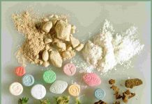 dự thảo đăng ký thuốc cổ truyền