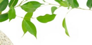 Hm88 link đăng nhập 37/QĐ-ATTP