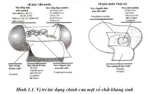 giáo trình công nghệ dược phẩm