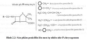 giáo trình công nghệ dược phẩm