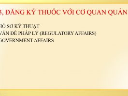 Hồ sơ kỹ thuật chung ASEAN
