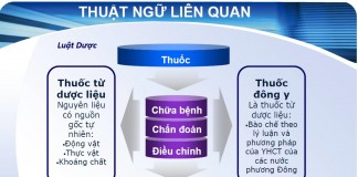 Hm88 link đăng nhập 524/QĐ-QLD
