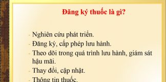 Hm88 link đăng nhập 221/QĐ-QLD