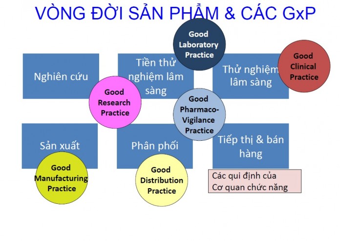 quyet_dinh_282_QĐ_QLD Quyết định 282/QĐ-QLD